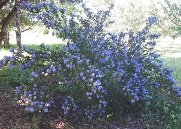 L’escale côté jardin